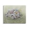 Stupell Industries Farmhouse Flower Buggy Car Canvas Wall Art
